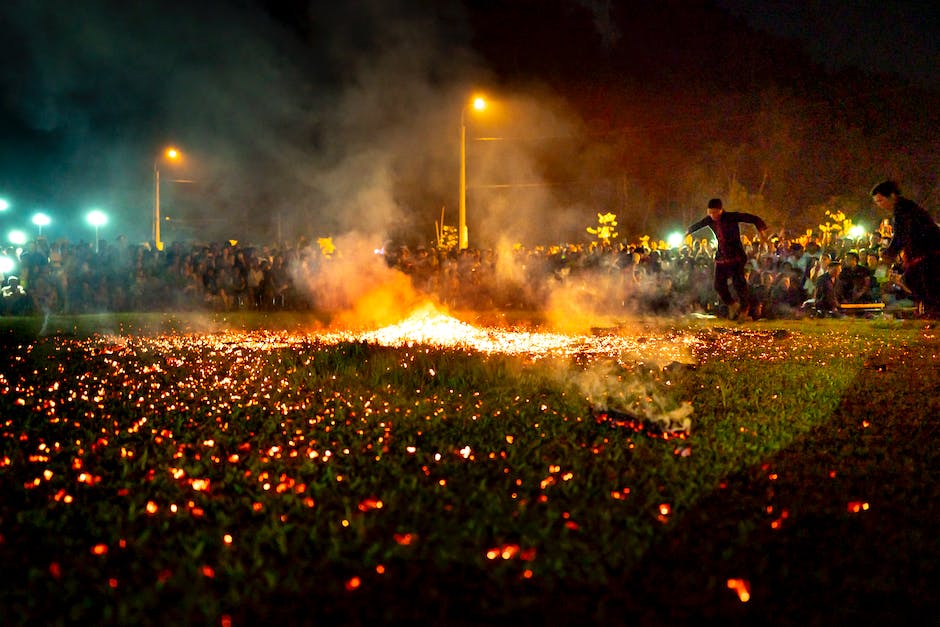 뷰키 디보 살펴보기